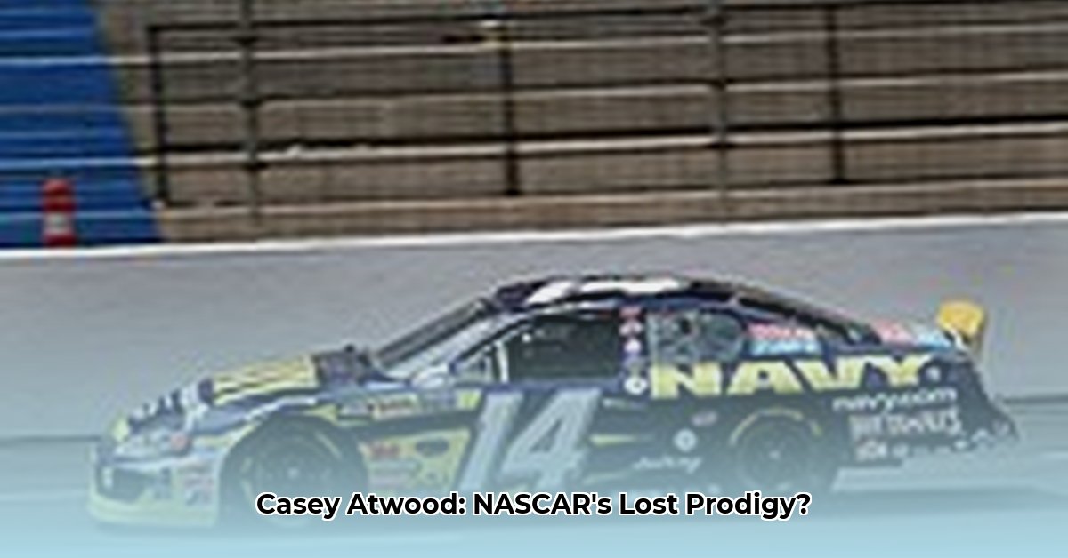 casey-atwood-net-worth